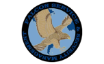 logo falcon service